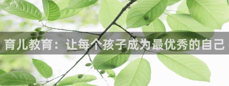 如何注销安信12软件