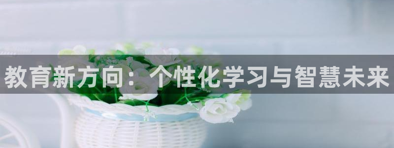 安信12平台介绍