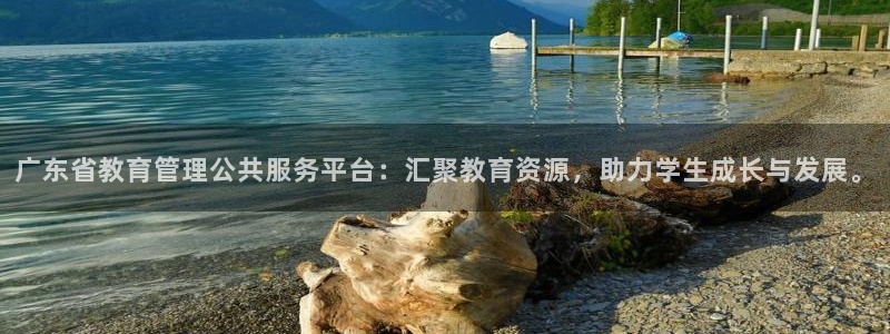 奇安信12流转场
