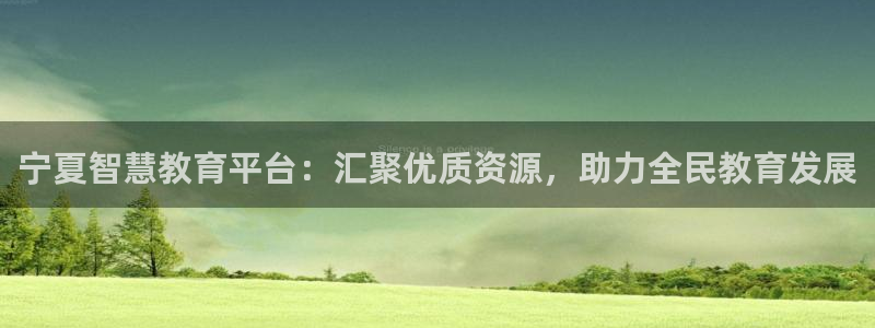 安信12专用挂机