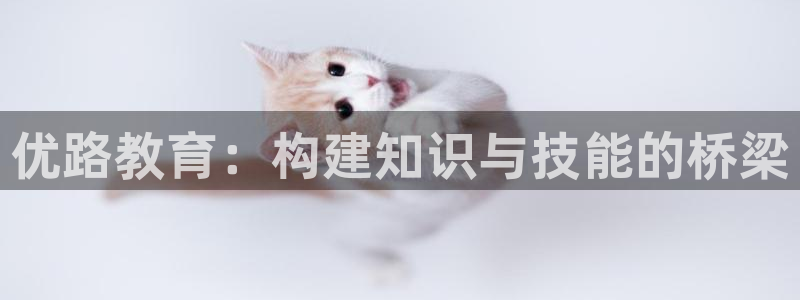 安信12平台开户