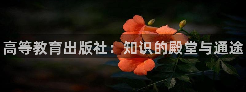 安信12娱乐主管