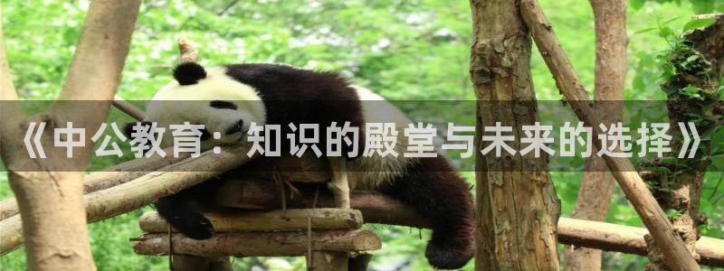 安信12平台可靠吗