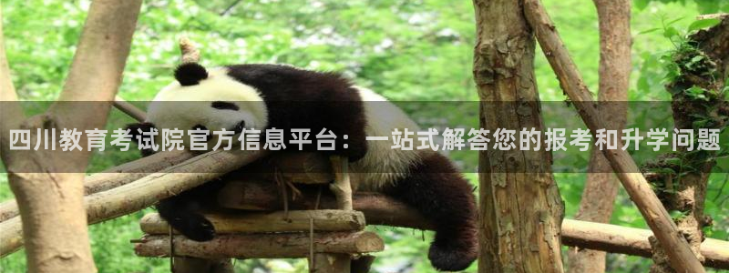 安信12下载