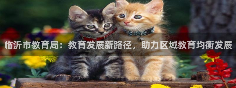 安信12是什么