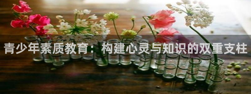 安信12彩票在线网址