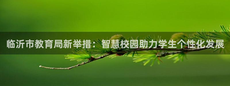 安信12是啥