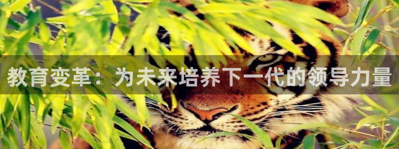 安信卓越12月