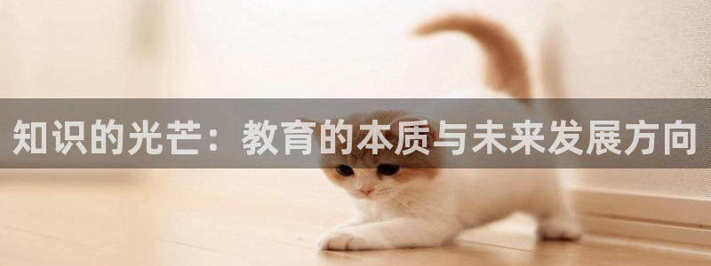 如何注销安信12软件