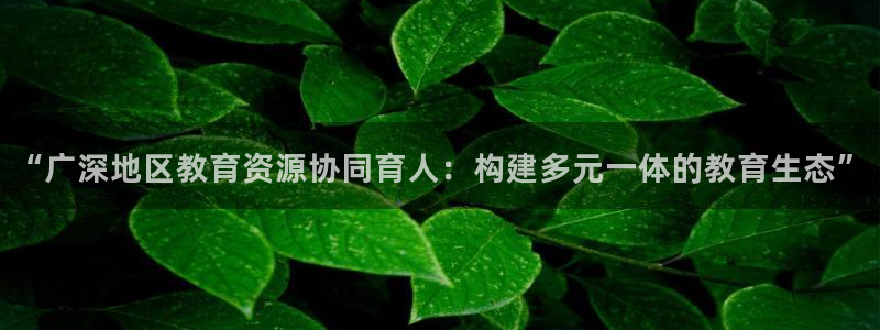 安信12娱乐