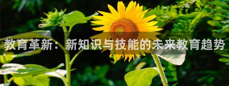 安信12娱乐7o777还