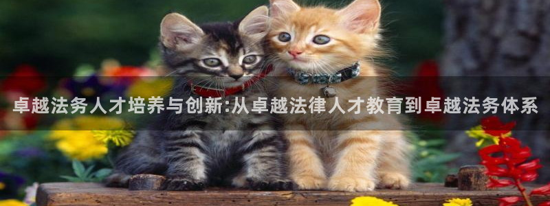 安立信T12测评