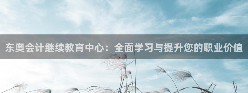 安信12周年