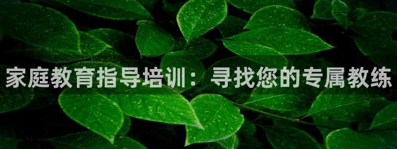 安信可12f