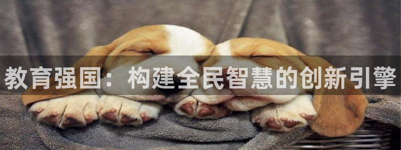 安信12平台的网址