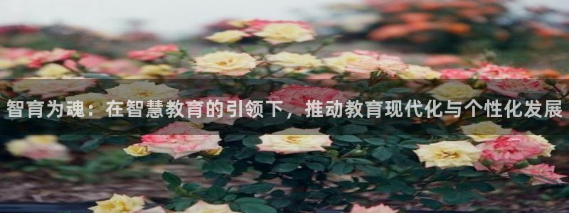 安信12是什么平台
