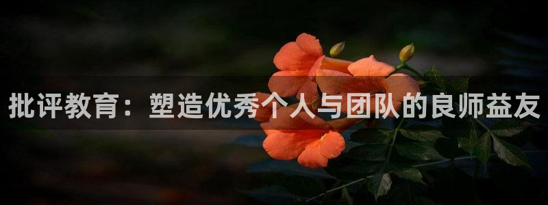 安信cw12系列