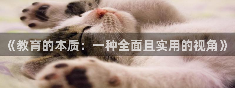 安信12娱乐
