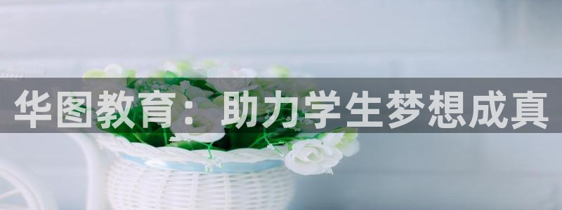 安信12级粉丝团福利