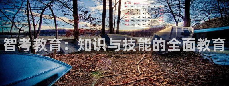 安信12彩票在线网址