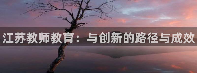 安信12代理