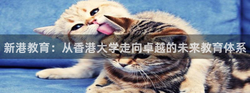安信12级灯牌
