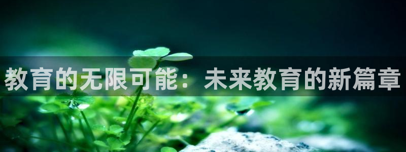 安信12下载