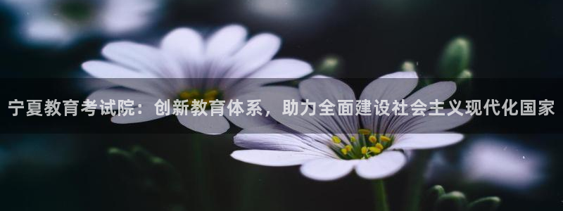 安信证券手机壳12
