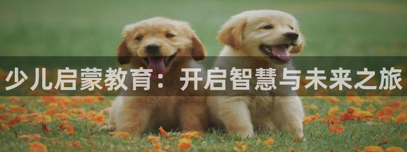 安立信T12测评
