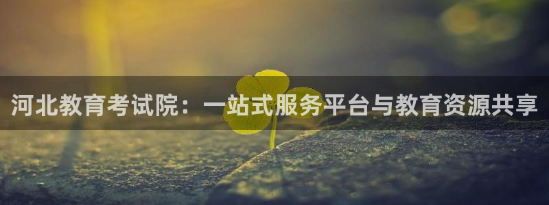 安信12娱乐主管