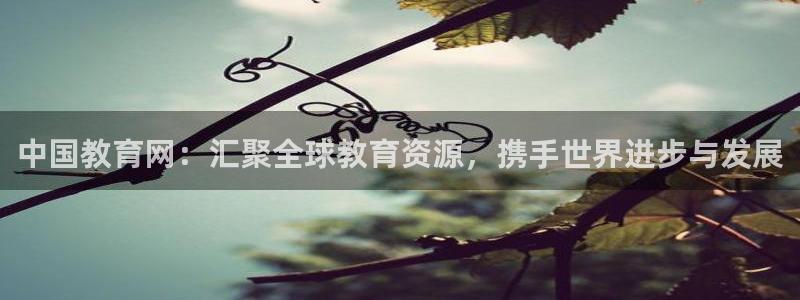 安信esp12k