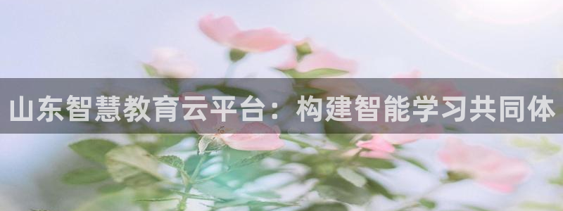 安信12是正规平台吗