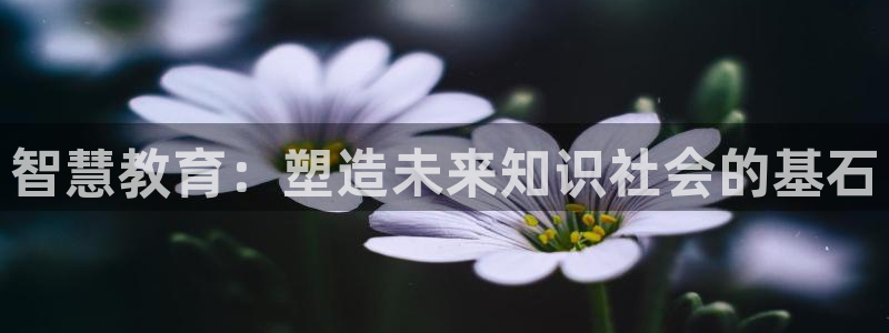 安信t12