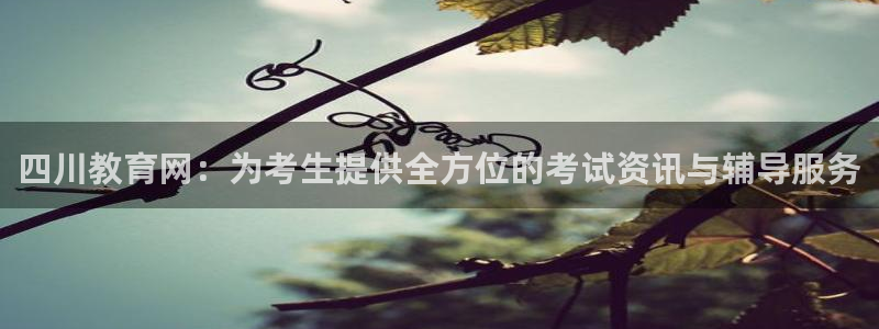 安信cw12系列