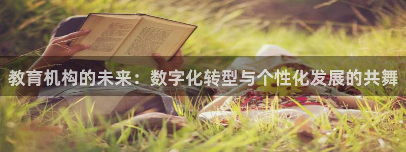 安信12软件介绍