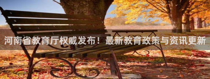 安信12位数资金号