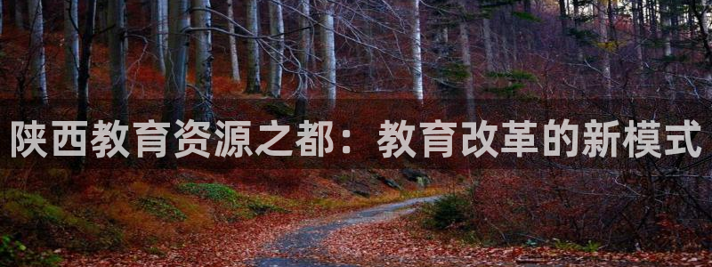 下载安信12