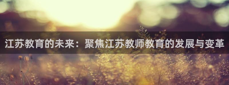 安信12负责人