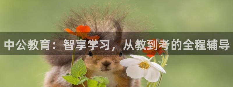 安信12网页版