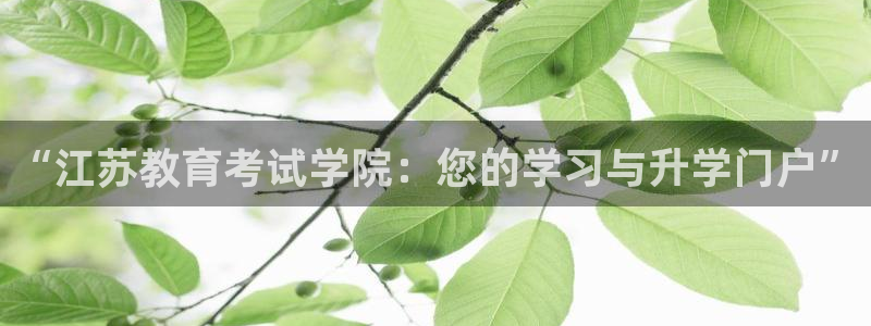 安信cw12系列