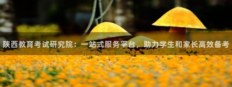 安信12位资金账号
