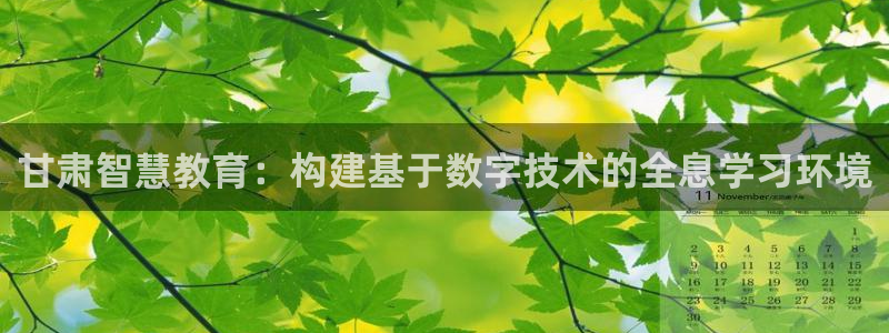 安信12是正规还是仿