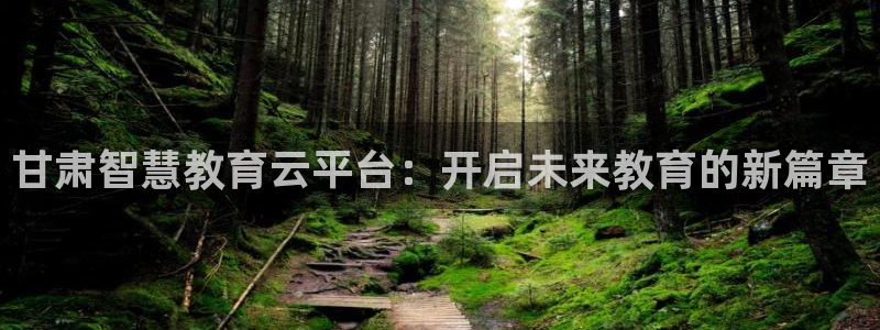 安信12是什么