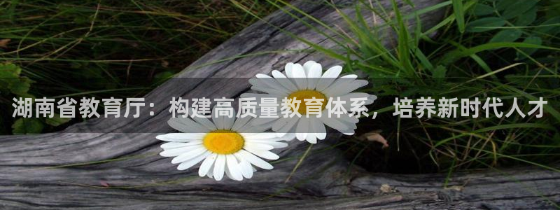 如何注销安信12软件