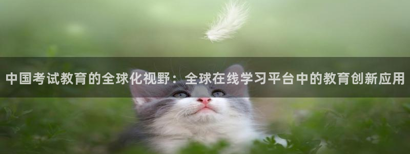 安信12彩票