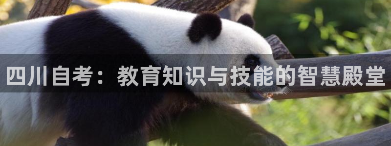 安信12靠谱吗