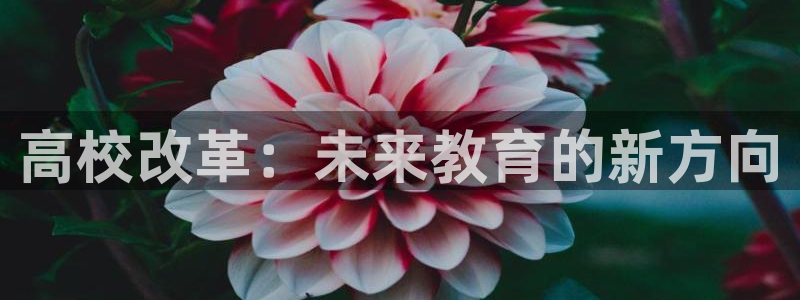 安信12靠谱吗