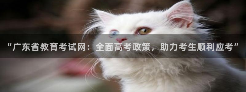 安信12级粉丝团福利