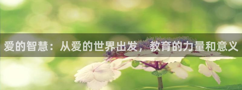 安信12官网