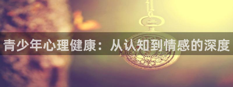 安信卓越12月